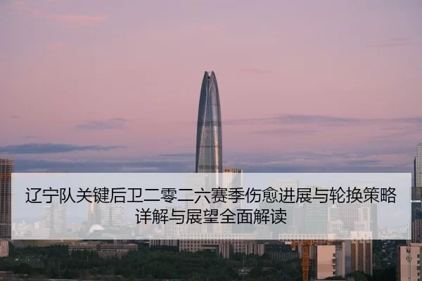 liao-ning-dui-guan-jian-hou-wei-er-ling-er-liu-sai-ji-shang-yu-jin-zhan-yu-lun-huan-ce-lve-xiang-jie-yu-zhan-wang-quan-2-513.jpg
